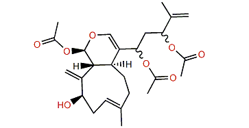 Zahavin B